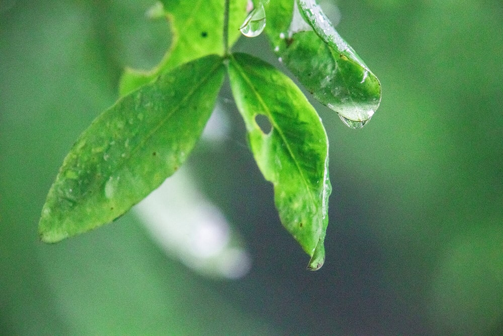 梅雨の時期のキャンプならではの魅力