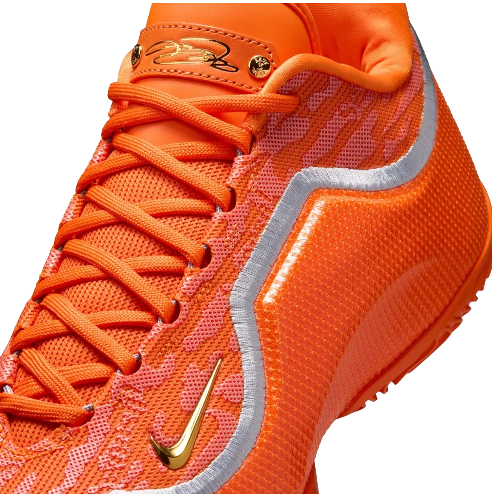 lebron feature_2
