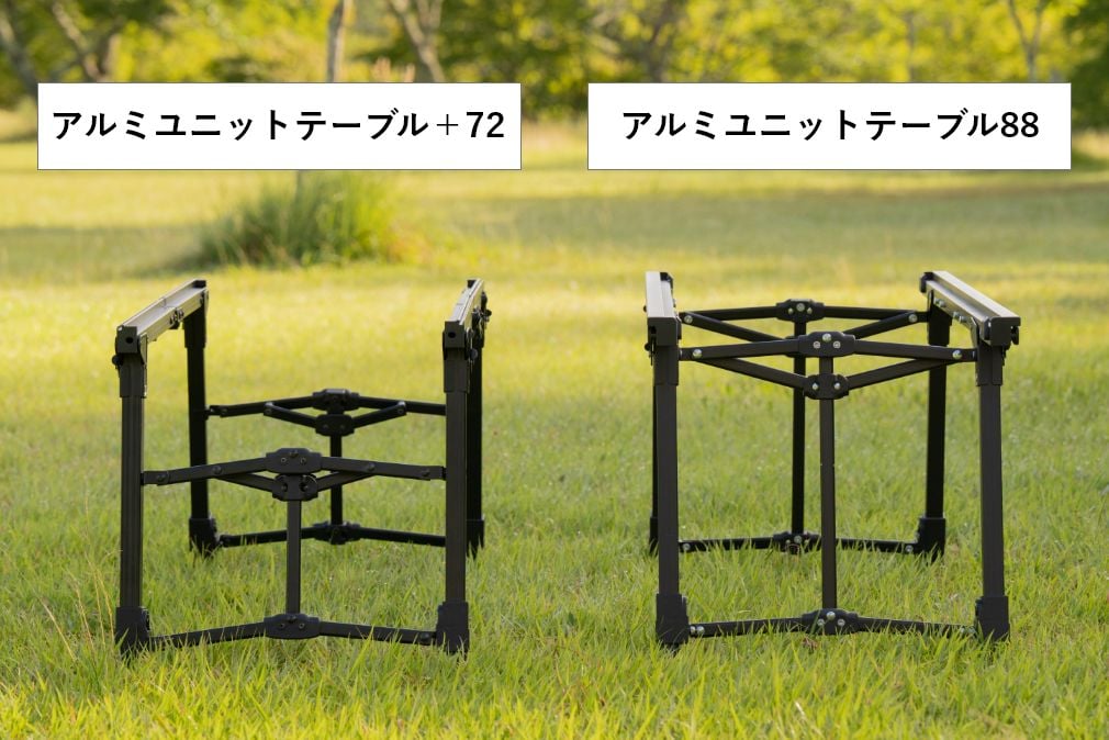 脚の構造