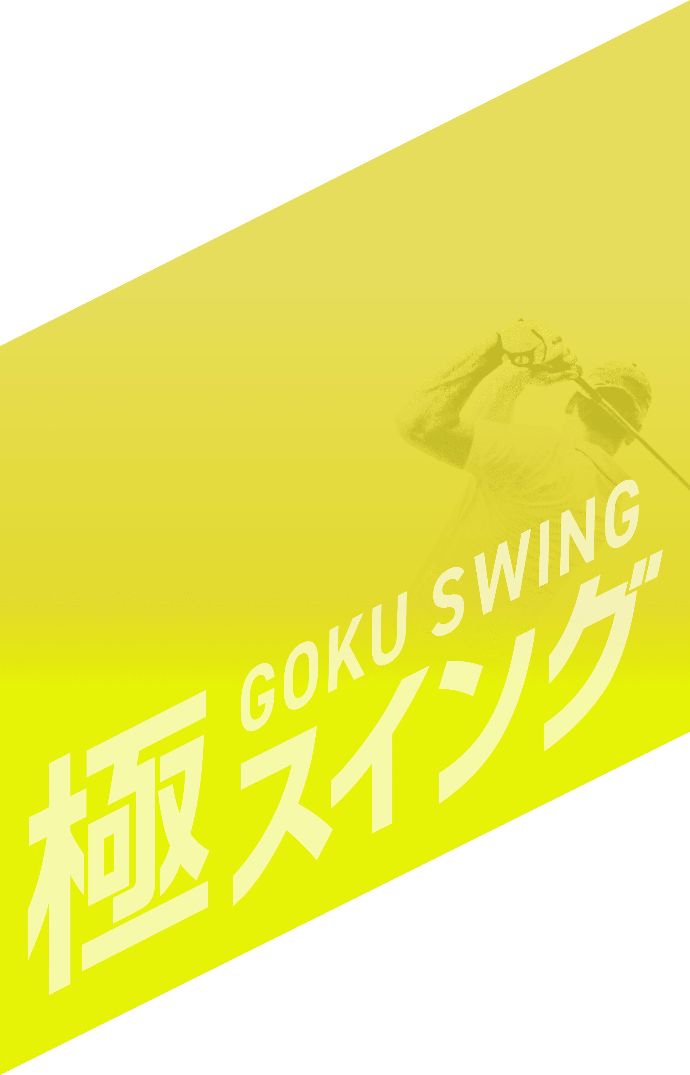極スイング