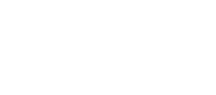 COPA ICON II