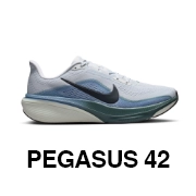 PEGASUS 42