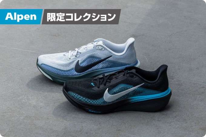 PEGASUS 42 メイン01