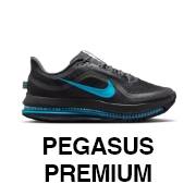 PEGASUS PREMIUM