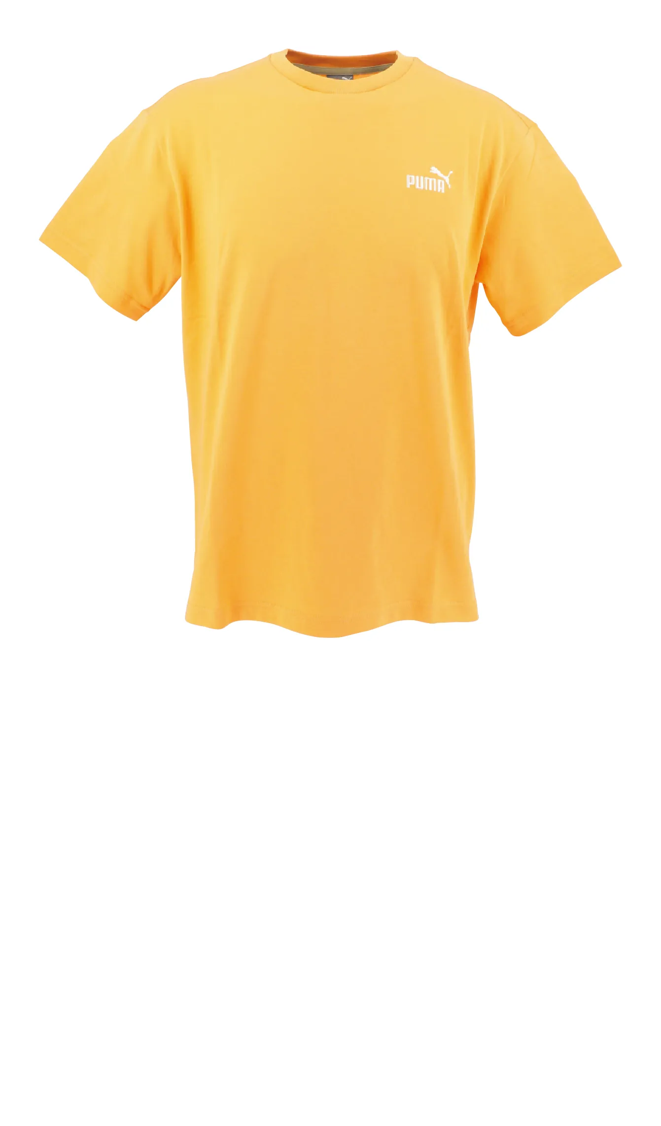 CORE HERITAGE SS Tシャツ バックプリント