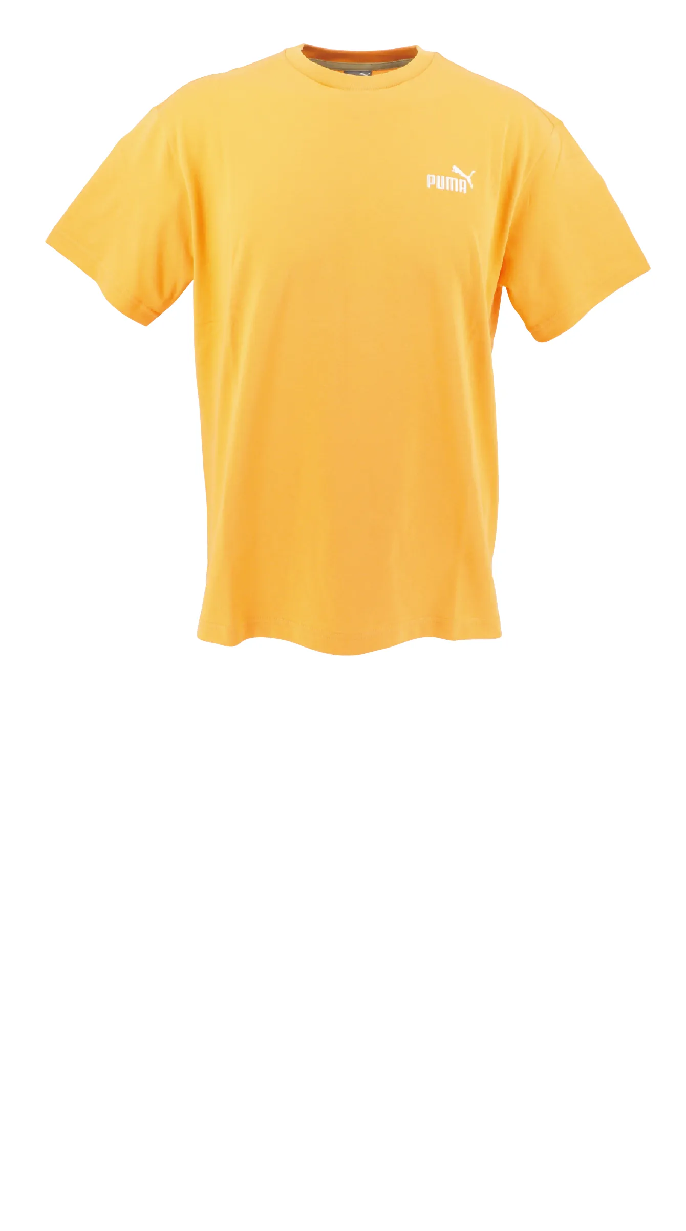 CORE HERITAGE SS Tシャツ バックプリント