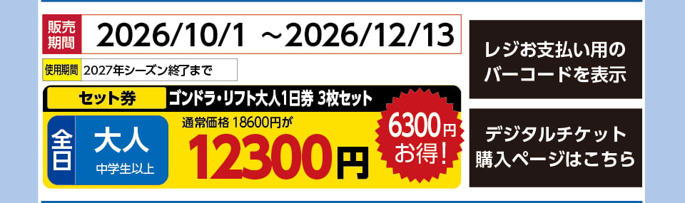 ウイングヒルズ白鳥リゾート　券種：G全日 大人 ゴンドラ・リフト大人１日券 3枚セット 　販売期間：46369まで　金額：12300