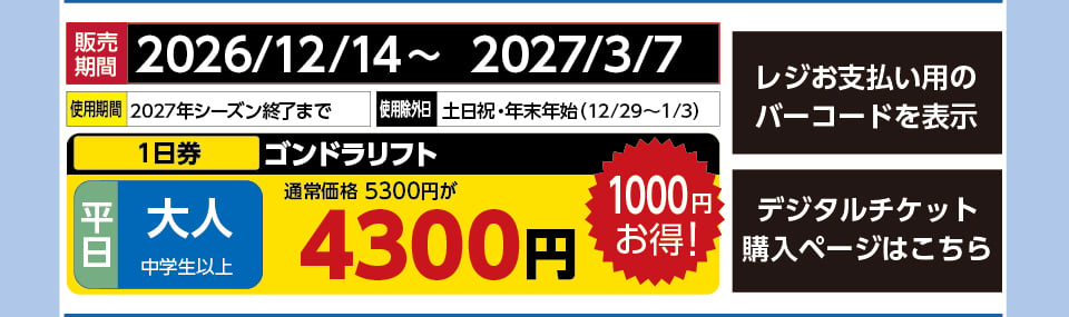 ウイングヒルズ白鳥リゾート　券種：K平日 大人 ゴンドラリフト １日券　販売期間：46369まで　金額：4300