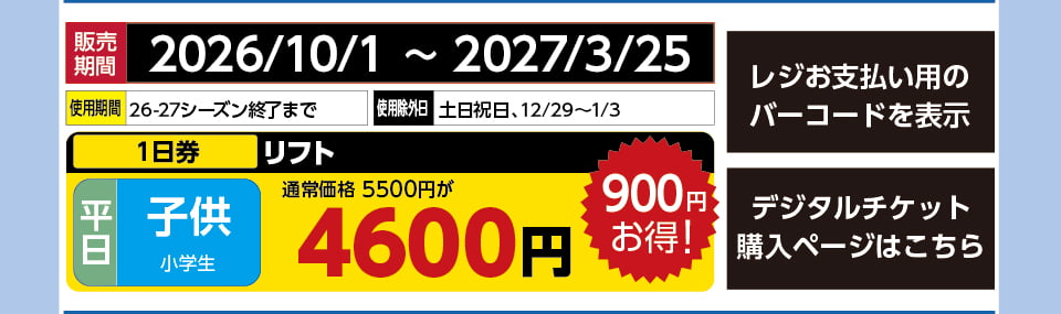 サンメドウズ清里スキー場　券種：平日 子供 リフト １日券　販売期間：2027/3/25まで　金額：4600