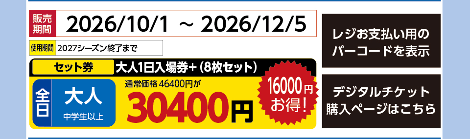上越国際スキー場　券種：全日 大人 リフト1日入場券+（8枚セット） 　販売期間：46361まで　金額：30400