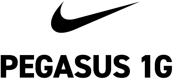 PEGASUS 1G