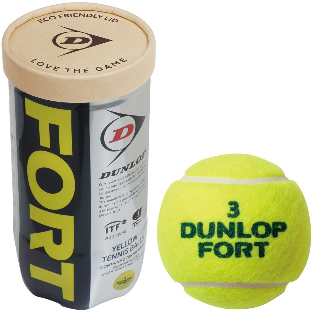 低価格 ダンロップフォート 2箱 ダンロップ 60缶×2球 (テニスボール 