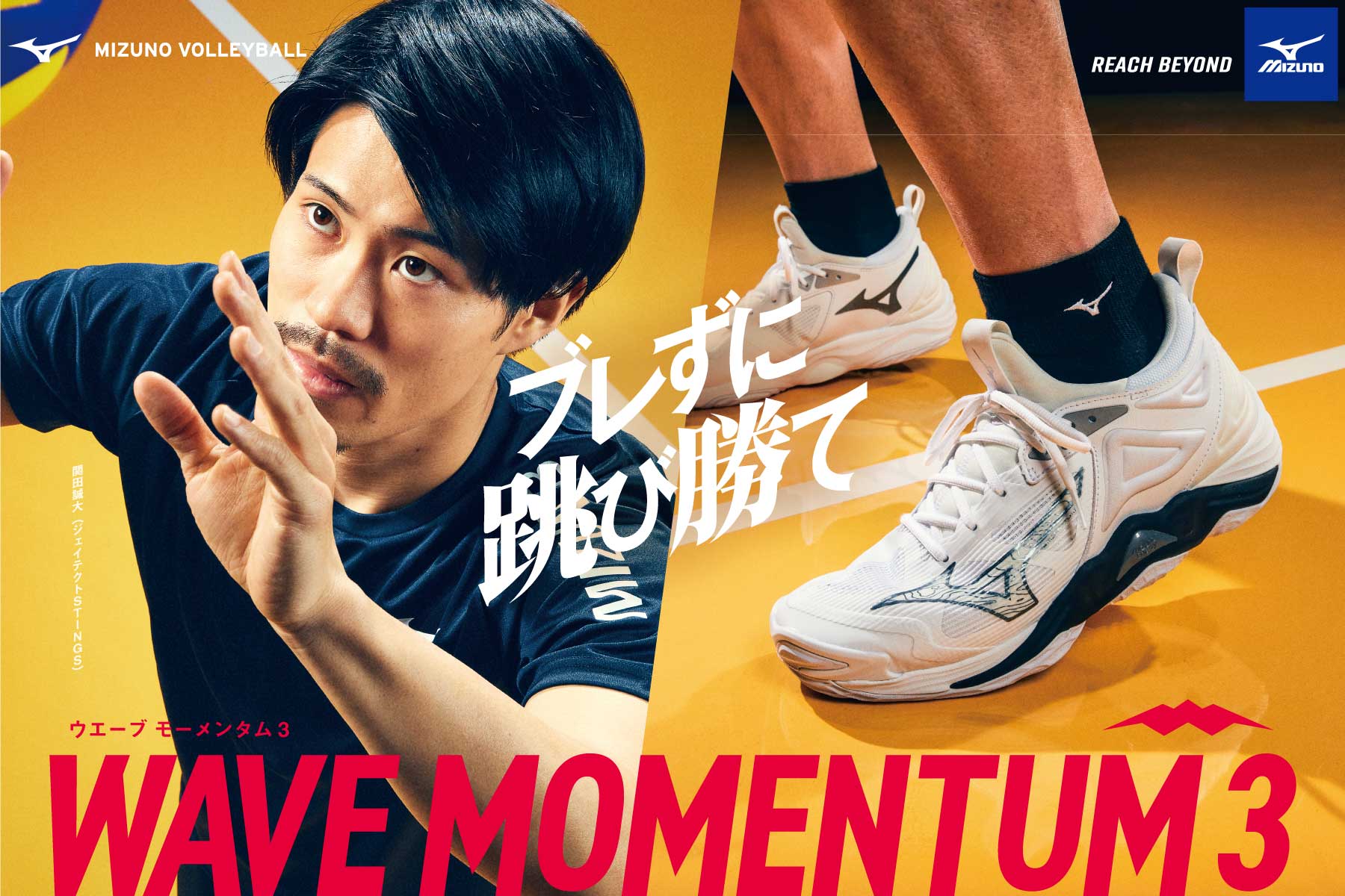 バレー ミズノ バレーボールシューズ MOMENTUM3